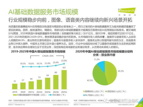 中國人工智能基礎(chǔ)軟件開發(fā)行業(yè)報(bào)告 2021 夯實(shí)智能底座，賦能產(chǎn)業(yè)變革